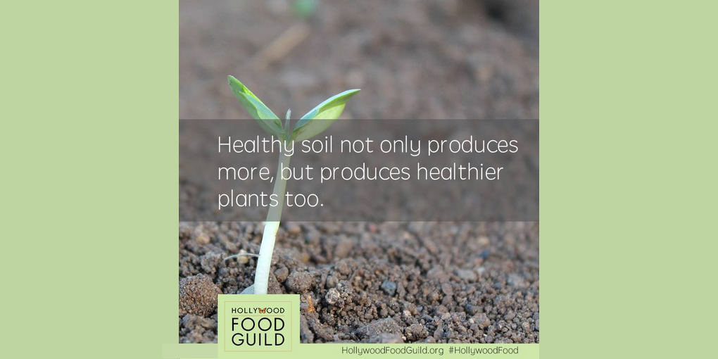 HollywoodFood's tweet photo. Healthy soil = healthy plants. Join Hollywood Food Guild to get facts about our food supply: https://t.co/e28WL0DpeZ https://t.co/0L5icfBVv9