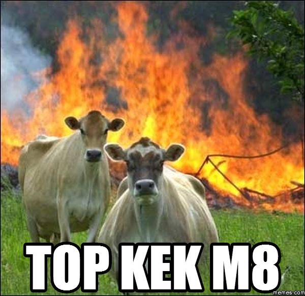 Hehehehe, moos