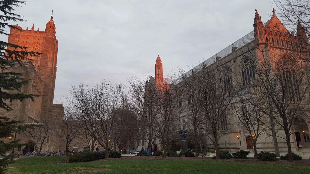 Princeton Football tweet media