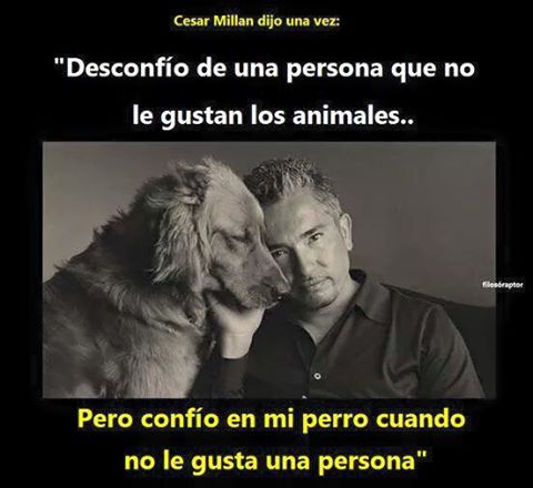EresInteligente's tweet photo. Totalmente cierto. https://t.co/pEAcW5DQOb