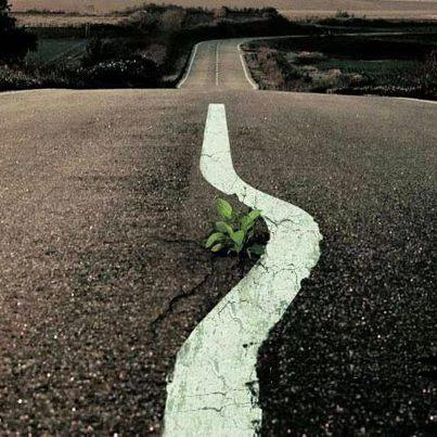 EldaLuz2's tweet photo. Mi camino es seguirte a ti mi #Dios https://t.co/m1gkQzIpYZ