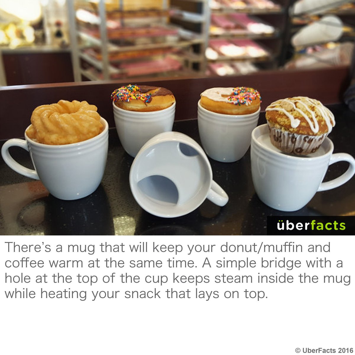 UberFacts's tweet photo. This is cool. https://t.co/0OQELygGoa