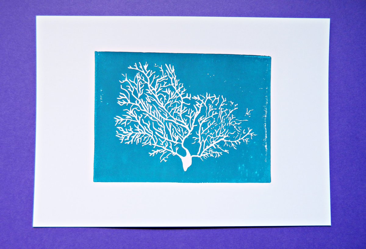 SciPrint's tweet photo. Don't forget to visit my online clearance sale before everything's gone, https://t.co/PTV9dbhSms https://t.co/DoMPJGCBcT