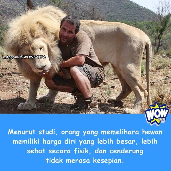kontenwow's tweet photo. Faktagram hari ini: #tahukahkamu #tahukahanda #wowfakta #fakta #faktanya #wow #mostpopular … https://t.co/rJXvNOnzBZ https://t.co/mCNj81oIps