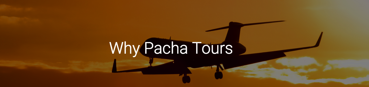 PachaTours_Int's tweet photo. Do you know #PachaTours ?
Take a look and see why you should choose @PachaTours_Int 
https://t.co/ycEGgg6y4S https://t.co/iaKhpzs8HB