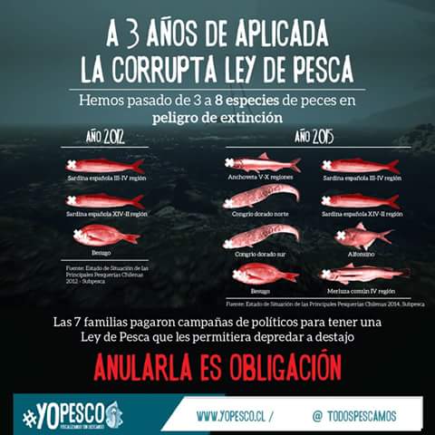 Chileokulto's tweet photo. Por esto hay que seguir desaforando parlamentarios y anular la corrupta Ley de Pesca.
Aquí #TodosPescamos! https://t.co/UunyqjP31I