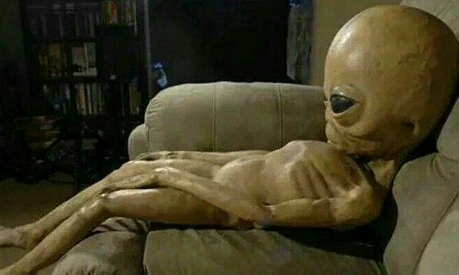 odeusogrego's tweet photo. enquanto ta todo mundo saindo eu to tipo https://t.co/tk3YwRTIqQ