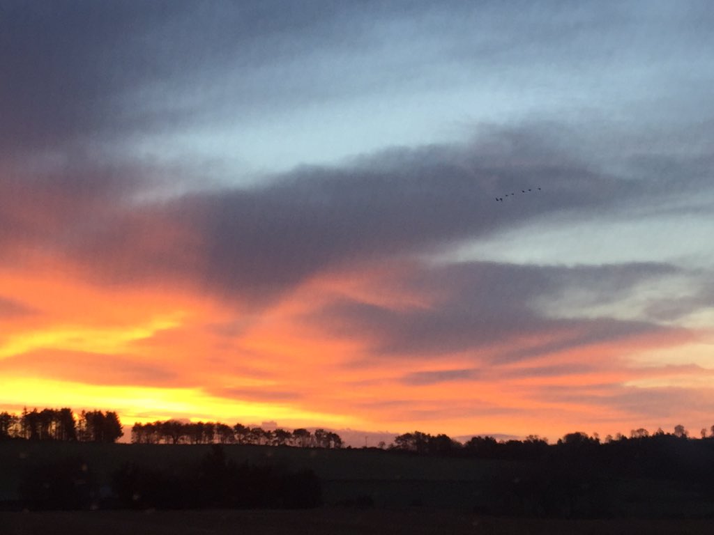 Yesterday's beautiful sunrise beside the garage #sunrise #redskyinmorningshepherdswarning #nottrue #bonnieday