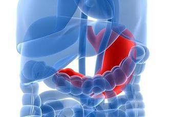 FreeAdverts's tweet image. Problemas Estomacales Debido A La Diabetes (1ra parte) dediabetes.com/problemas-esto…