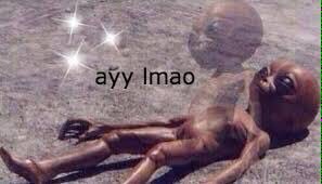 BellamyDaveen's tweet photo. Me when I fell off the bench in tah flerida game https://t.co/cxHJURgEpG