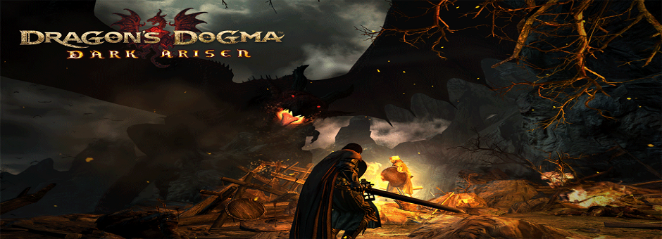 Dragon Dogma Dark Arisen (5 Disk)