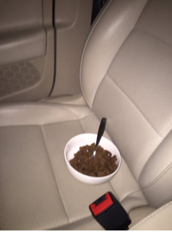 CauseWereGuys's tweet photo. He came in clutch https://t.co/n81H2OVMjh