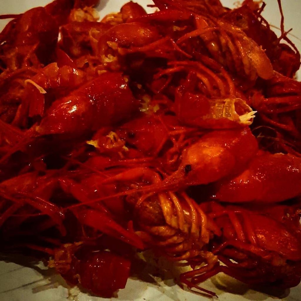 CharlesTerryJr's tweet photo. So much for that....... #Crawfish all gone.... :-( π’π’ #BoilingPots https://t.co/FTQz57Wxgb