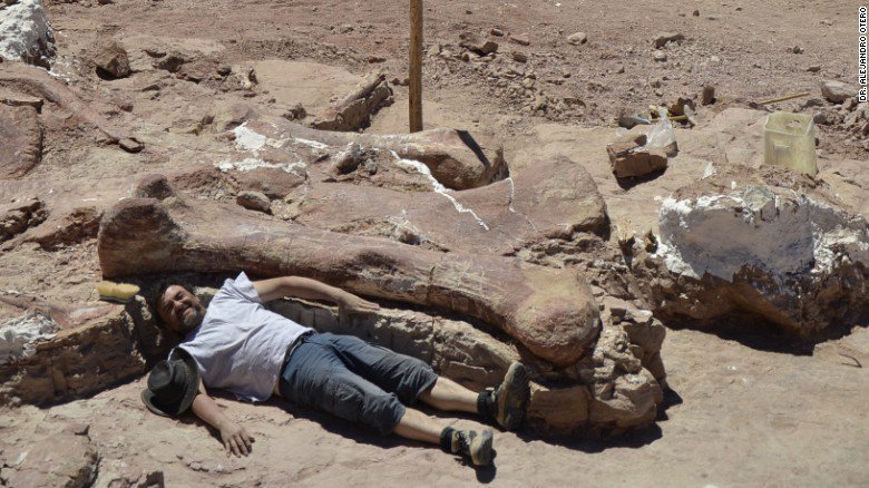 cnni's tweet photo. Move over T. rex, a new dinosaur has been unveiled. Meet this 122-foot-long #Titanosaur: https://t.co/QNuKAuJZy7 https://t.co/CIRGWy0XSM