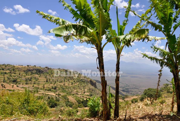 DailyMonitor's tweet image. If you appreciate landscapes, Kapchorwa is one of the places to visit: bit.ly/1U3sRho #MonitorLife