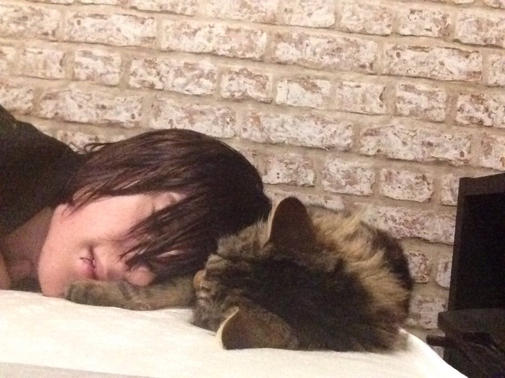supitslink's tweet photo. 😔I miss him ✌️😿 https://t.co/5kMxIKiSm0