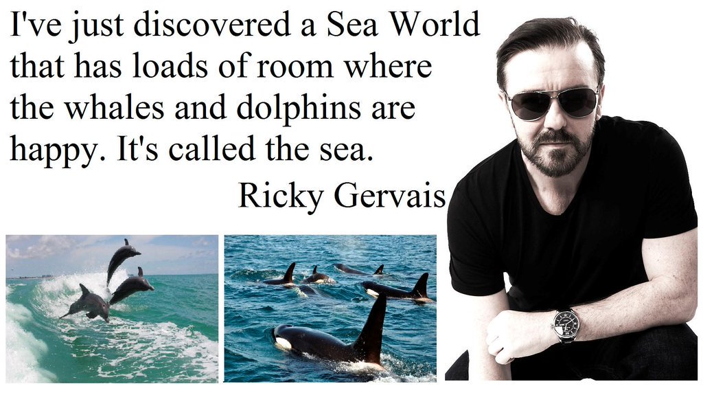 Protect_Wldlife's tweet photo. Wild And Free, How It Should Be!! Another classic quote from @RickyGervais! #EmptyTheTanks https://t.co/lyiPVGCg37