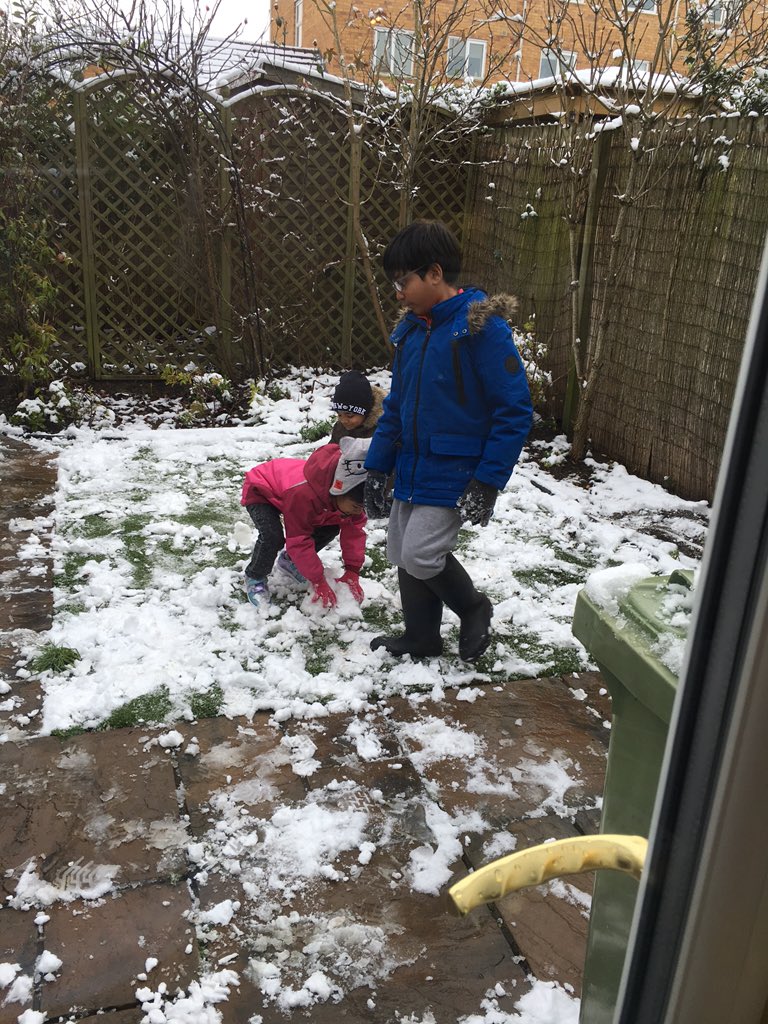 BegumNadiya's tweet photo. Best solution let them out. Do their thing while I stay in the warmth #selfishparenting π https://t.co/WniQWir6Lu