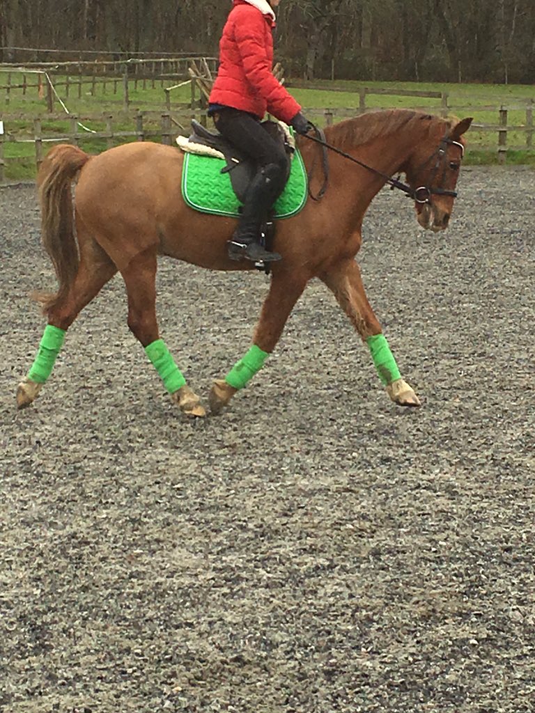 emmaedoyle1's tweet photo. Love this boy, but will soon be time to say goodbye #growponygrow!! https://t.co/U4jVX3IwNN