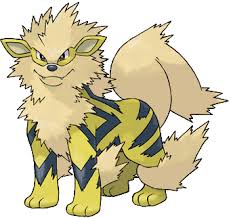 Mew_Gives's tweet image. RT + Follow to try to win a shiny BR Arcanine ! Result at 9 PM. Good luck ! :)