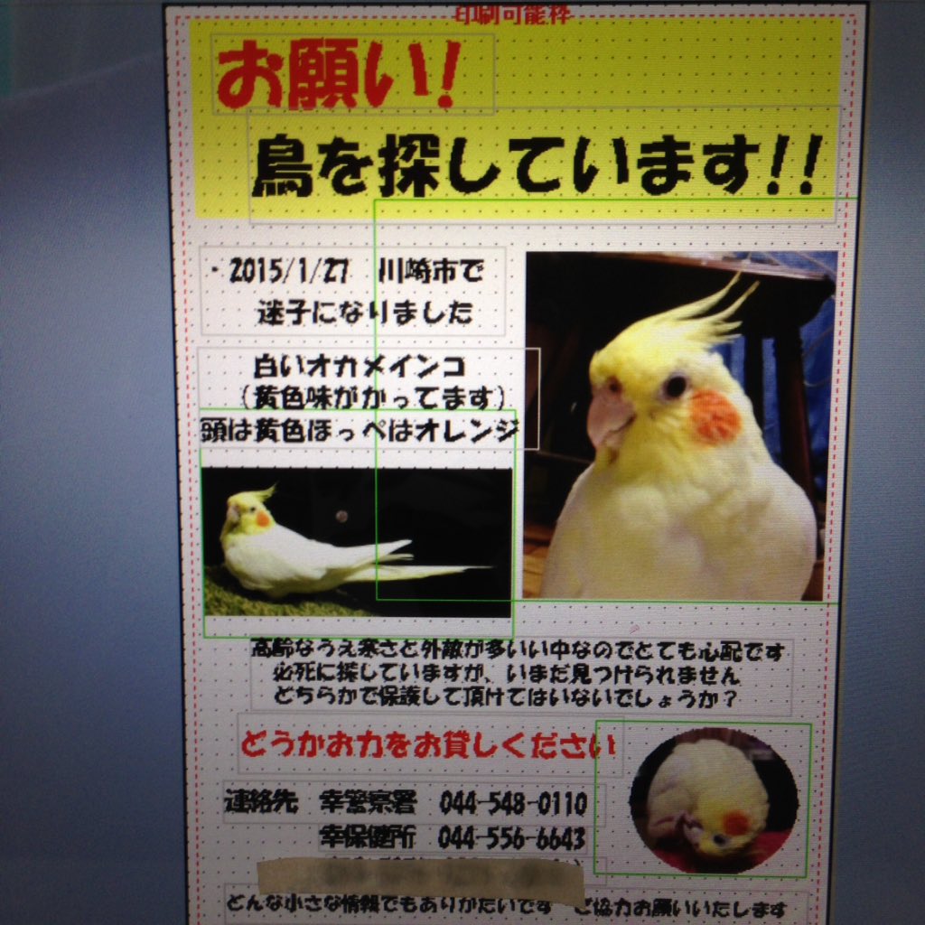 hmy_rk's tweet photo. む〜ちゃんが飛び出してしまったのも、こんな寒い日で..翌朝雪が降ってしまったよね.
どこかのお家で保護されて無事でいて欲しいと願い捜し続けてます😖
む〜ちゃんを助けて下さった方やご存知の方がいらっしゃいましたら、どぉか教えて下さぃ🙇 https://t.co/g5BfnDPZqM