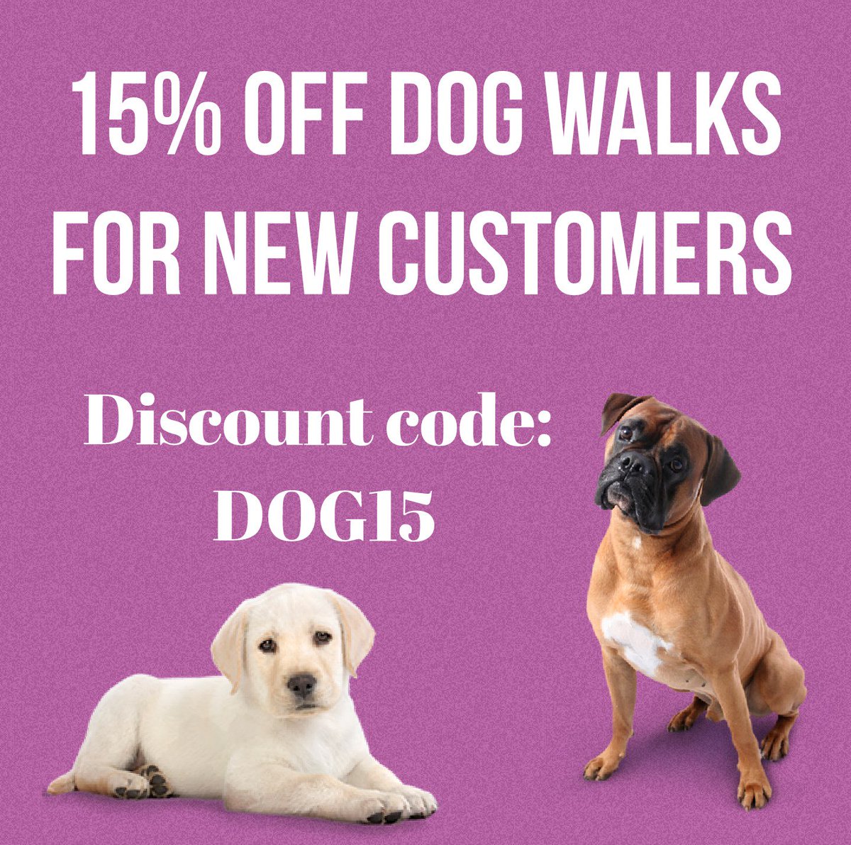 We create professional and unique posts!
Some of our work 🐶
01325 240942
#darlobiz #marketing #advertising