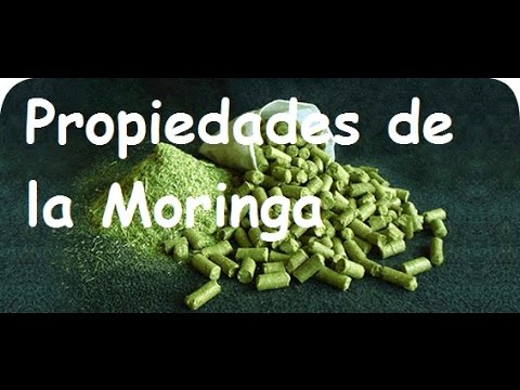 SaladictionPC's tweet photo. Lo que no sabes de la moringa
https://t.co/xvd5kAeHsb https://t.co/4NeVWWcJJb  https://t.co/Src9rAWlsX