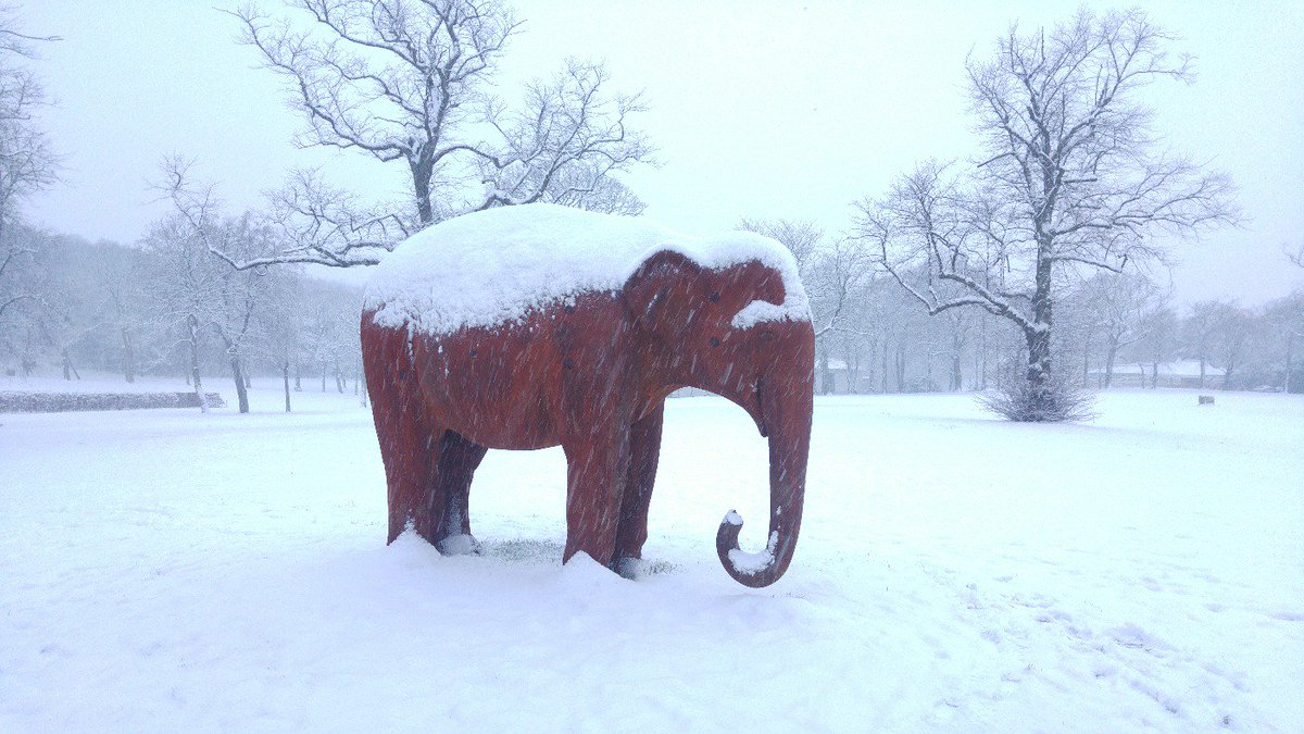 Not all #Glasgow residents are loving the #snow.