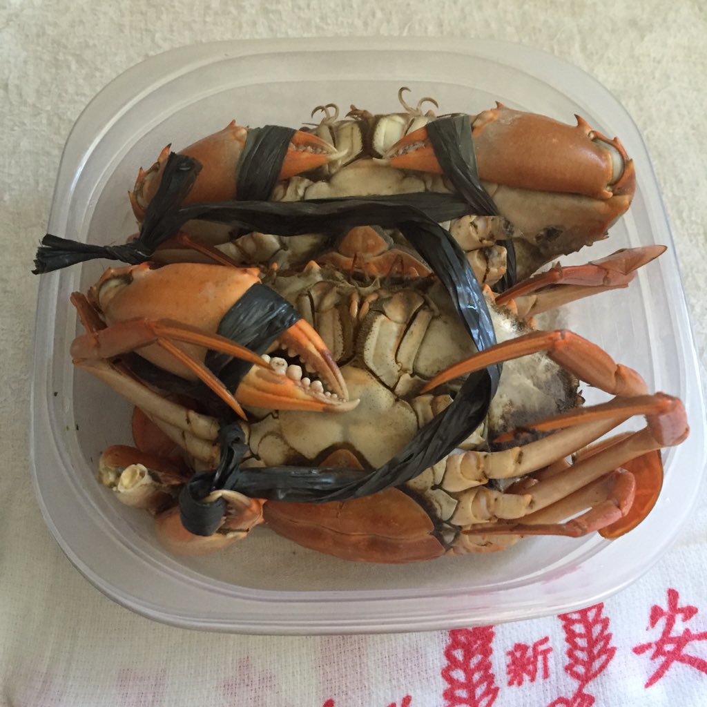 bilbaobab's tweet image. Attempted to cook chilli crabs but not as good as Mum's 😭 but got A+ for cuisson #cookingexperiments #marriedtoachef