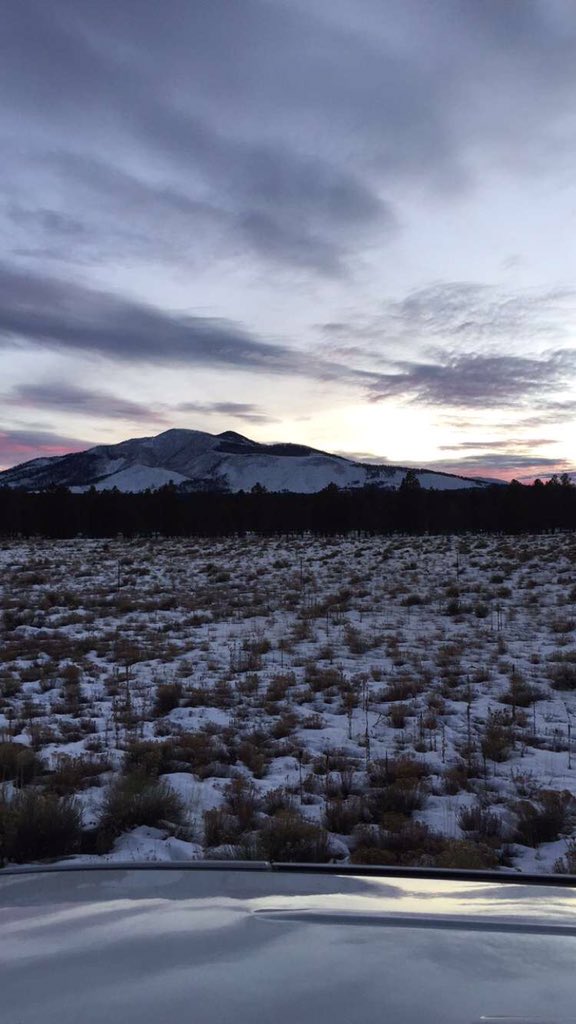 When the place that you live gets prettier everyday. @NAU #Flagstaff #secondsemester