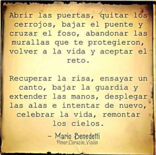 Nosferatu_7's tweet image. #PremiosVlogger #PV08 🐦🐦🐦 #RT