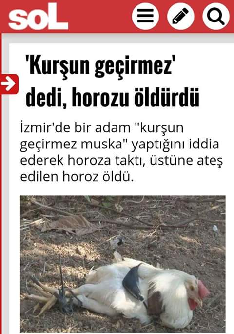zezesotto's tweet photo. Başka ülkede yaşayamam https://t.co/2k0eVmk8EI