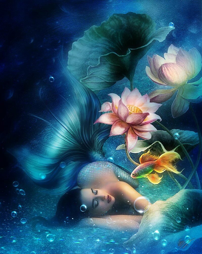 Vicky (@vbudhu18) on Twitter photo 