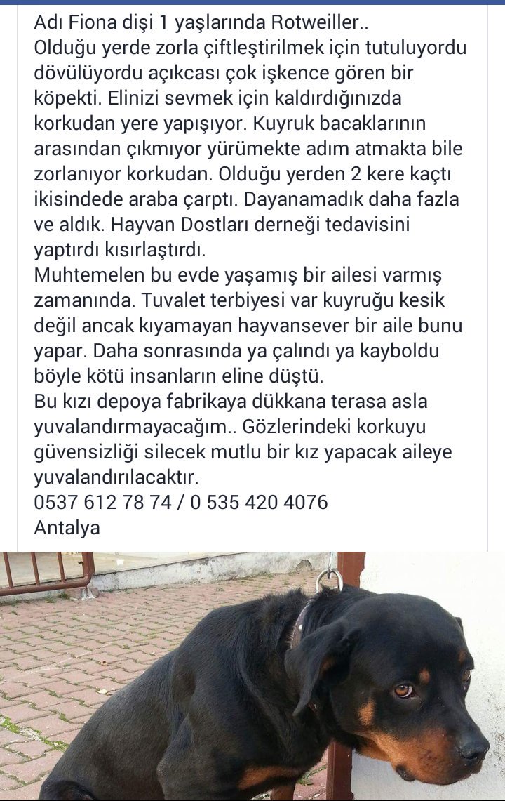 <a href="/ACILLRetweet/">❤️ ACİL Retweet 🐾</a> <a href="/gattariro/">Rosalba Gattari</a> @HayvanDostu_RT <a href="/iyiTriloji/">Bilinmeyen Gerçekler</a> <a href="/olcaymeral/">meral olcay</a> @dtakanoglu @dundaragirseven <a href="/PamuuPeter/">Peter</a> <a href="/0pbpt/">Pembe Pati</a>