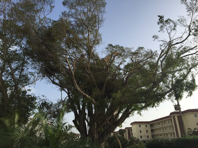 View image on Twitter View image on Twitter