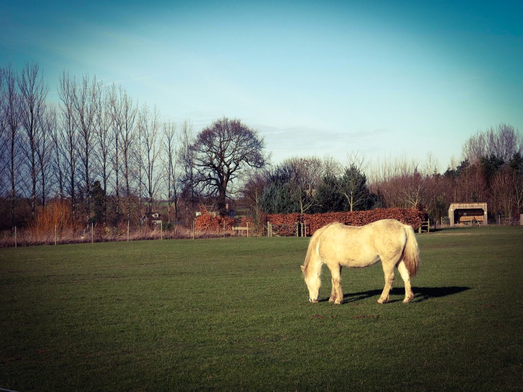 EstModaMag tweet picture