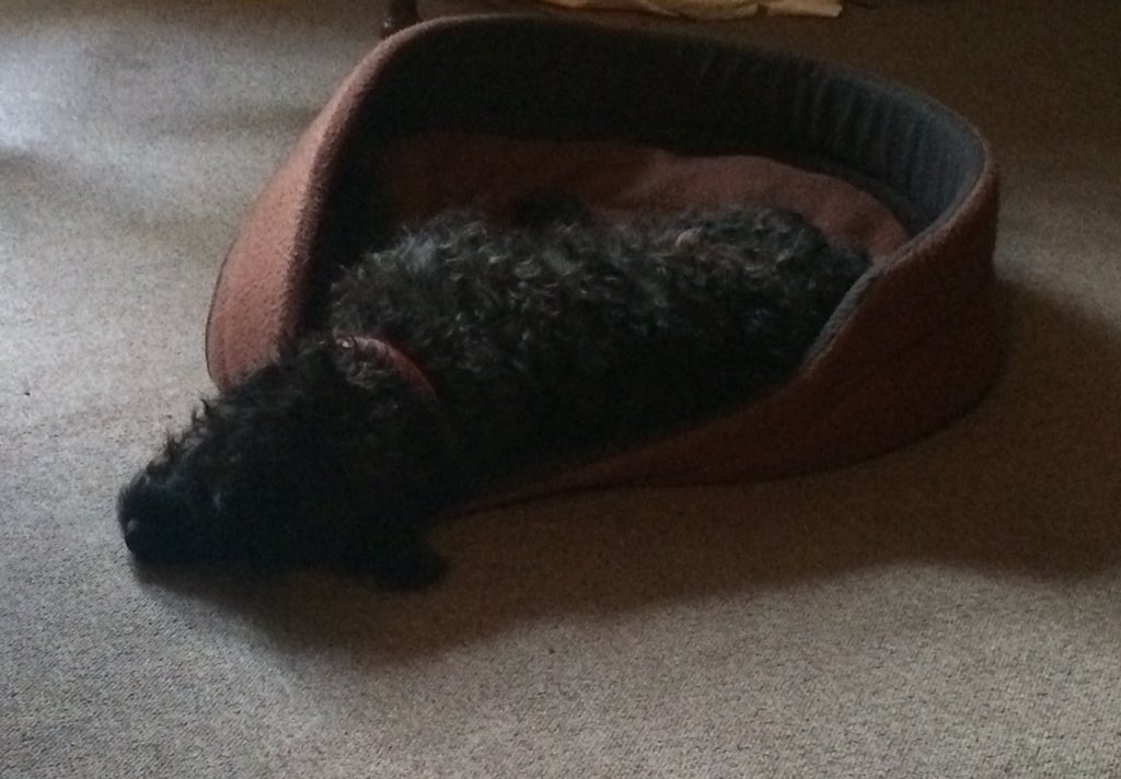Most days I just can't be arsed.