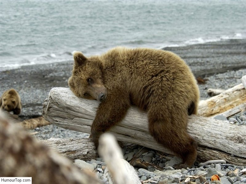 iFuelter's tweet image. Moi quand les vacances sont finis