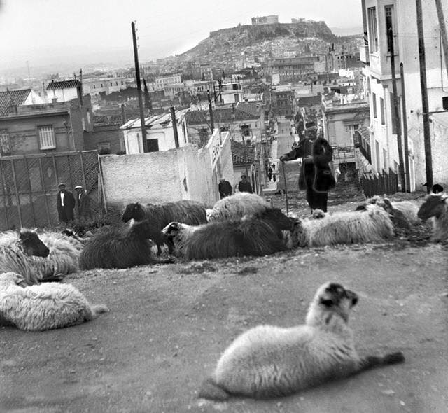 Gath___'s tweet photo. Κολωνάκι 1920, σήμερα τα πρόβατα μαζεύονται στο Ντα Κάπο και στην Βιβλιοθήκη βέβαια ;-) https://t.co/6Ooc6DCGyn