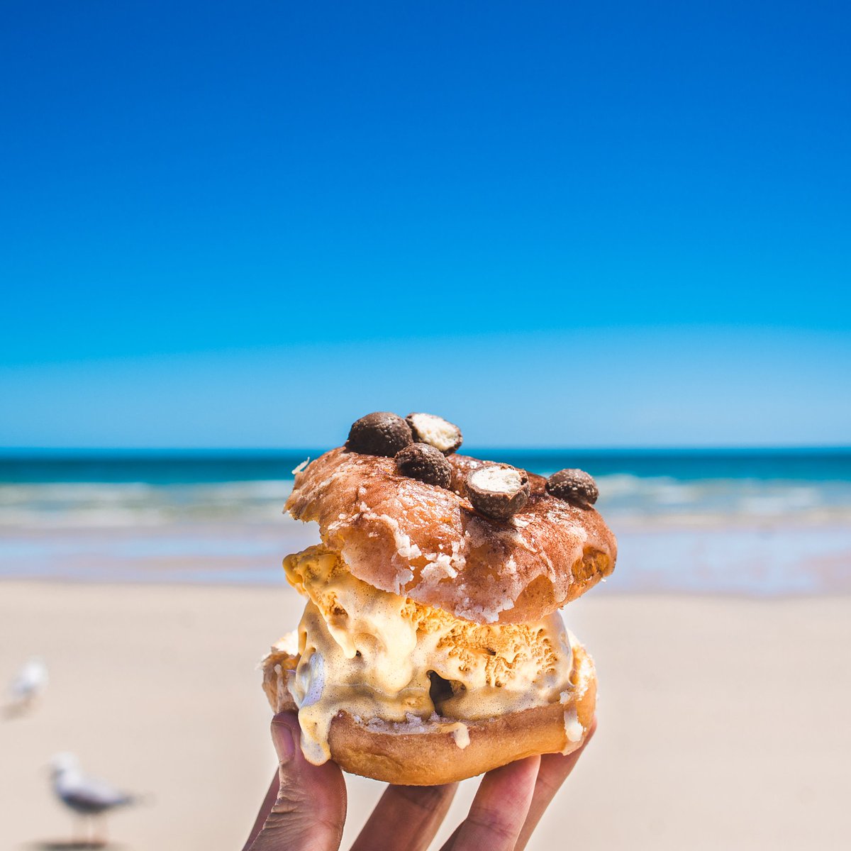 DuyDash's tweet photo. Devour Cafe's Malteser Donut which I turned into a honeycomb #Icecream sandwich #novaissummer #saweekendsummer https://t.co/bo9nicCDeh