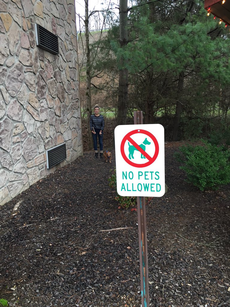 NicholasWellons's tweet image. Hmmmm #spree16