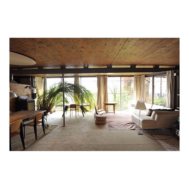 _ARTEFACT_'s tweet image. 