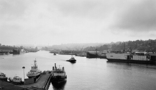 SeattleDPD's tweet image. sloshphoto:

Ballard tugs. (ks) #SeattleDPD seattle-wa.tumblr.com/post/129277249…