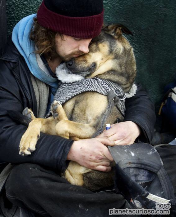 A veces tenemos días difíciles. Pero siempre nos alegrarán el día. Dale lo mejor, dales #BilJacChile #DogLovers