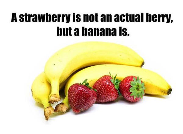FactsIng tweet picture