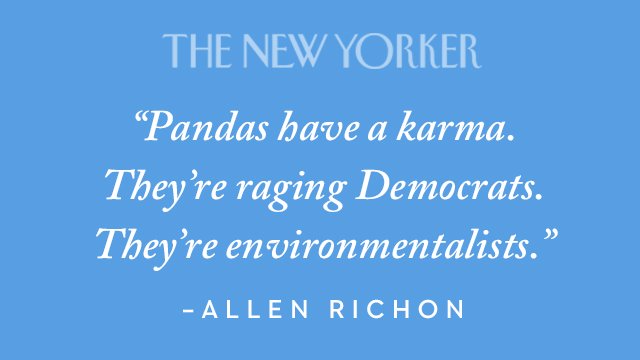 What’s behind the public fixation with panda bears? nyer.cm/p0fX9iz