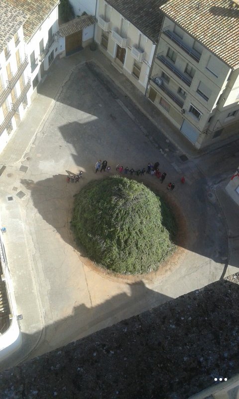 gemmaca97's tweet image. 