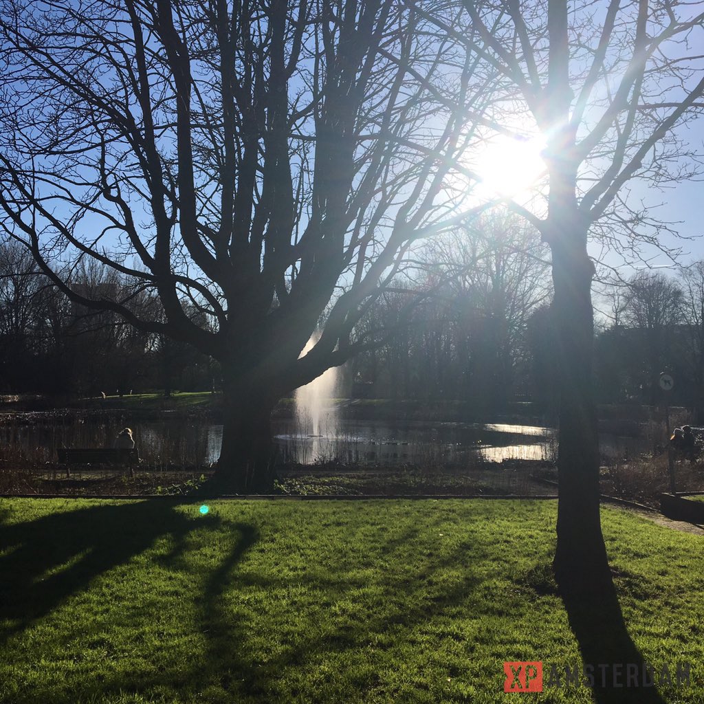 xp_amsterdam's tweet photo. Sunny Sunday ☀️ #beatrixpark #stroll #sunnysunday #amsterdam #iamsterdam #gramthedam #xpamsterdam https://t.co/jGMwnBtGLt