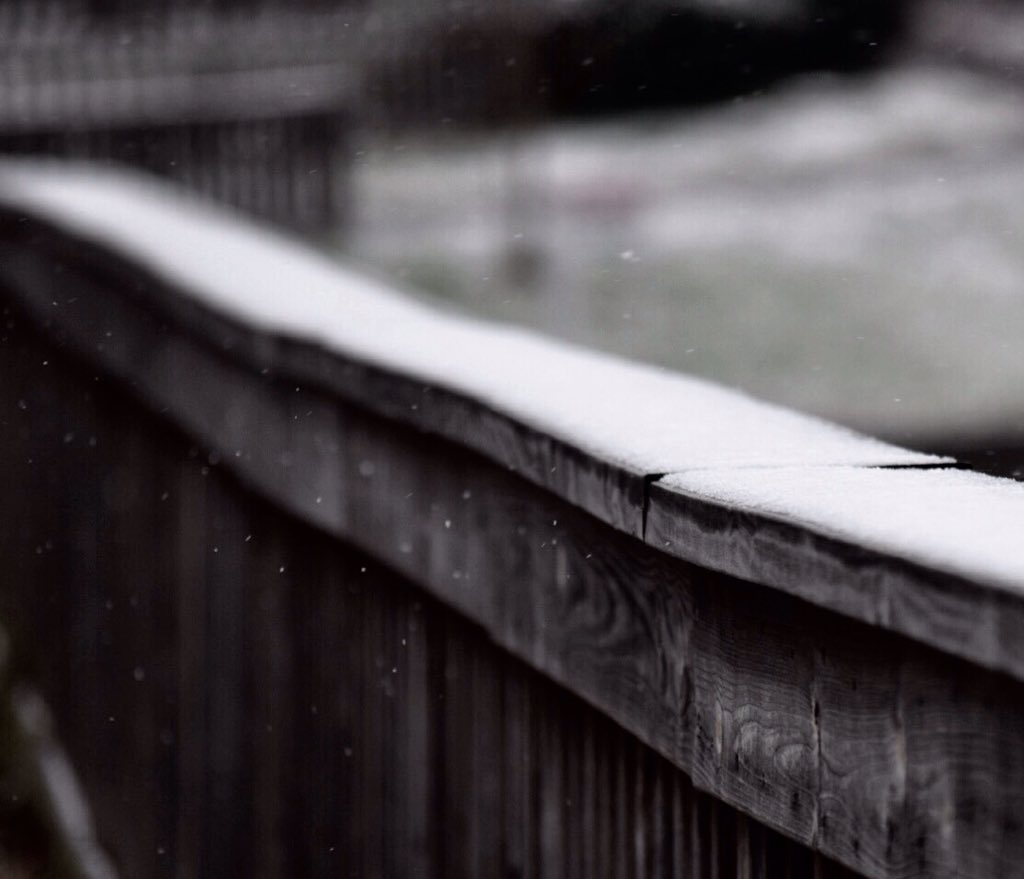 TimBuckleyWX's tweet image. Today's snow in Greensboro through my camera. #snow #GotSnow @wfmy