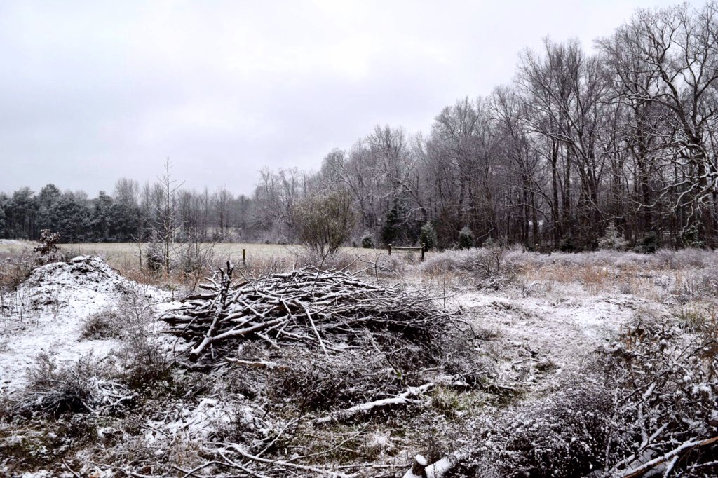 TimBuckleyWX's tweet image. Today's snow in Greensboro through my camera. #snow #GotSnow @wfmy
